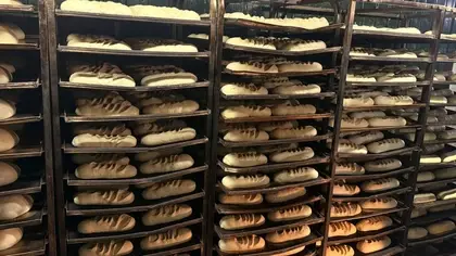 Белокуракинский хлебозавод наращивает обороты: министр сельского хозяйства ЛНР и сенатор оценили производство и планы развития